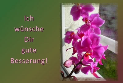 Kostenloses Foto: Aira's Postkarten - Ich wünsche Dir gute Besserung